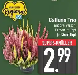 E-Center Calluna Trio Angebot
