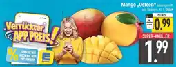 E-Center Mango ,,Osteen" Angebot