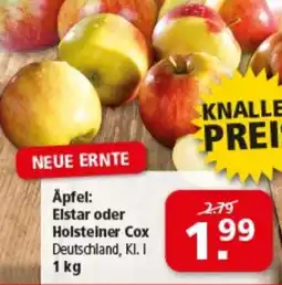 Multi Markt Äpfel: Elstar oder Holsteiner Cox Angebot