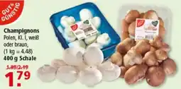 Multi Markt Champignons Polen Angebot