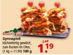 Multi Markt Bauern Gut Gyrosspieß Angebot