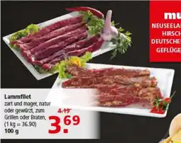 Multi Markt Lammfilet Angebot