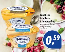 Nah & Frisch Landliebe Grieß- oder Sah nepudding Angebot