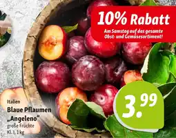 Nah & Frisch Blaue Pflaumen "Angeleno" Angebot
