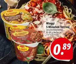 Nah & Frisch Maggi 5 Minuten Terrine Angebot