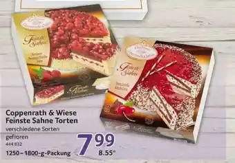 Selgros Coppenrath & Wiese Feinste Sahne Torten Angebot