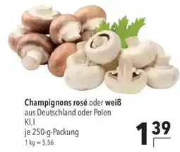 CITTI Markt Champignons rosé oder weiß Angebot