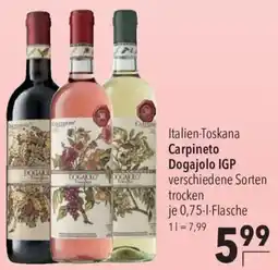CITTI Markt Carpineto Dogajolo IGP Angebot