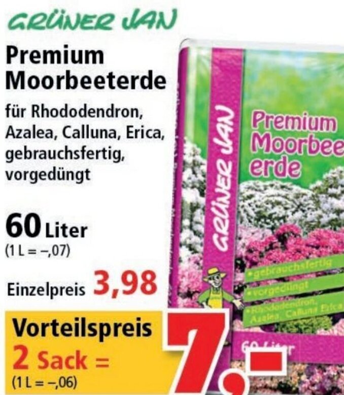 dehner thuja smaragd Thuja "Smaragd" (180 - 200 cm) im 20L Topf Buschig XXL