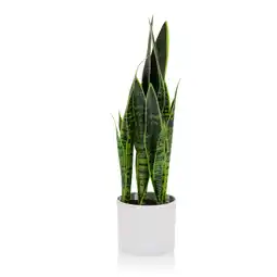 Netto Marken-Discount hjh OFFICE Kunstpflanze SANSEVIERIA Kunststoff, Stoff Angebot