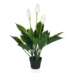 Netto Marken-Discount hjh OFFICE Kunstpflanze SPATHIPHYLLUM Kunststoff Angebot