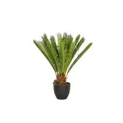 Netto Marken-Discount hjh OFFICE Kunstpflanze CYCAS Kunststoff, Stoff Angebot