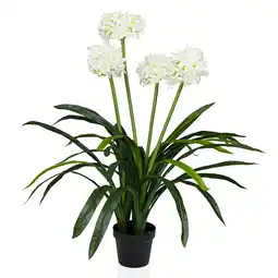 Netto Marken-Discount hjh OFFICE Kunstpflanze AGAPANTHUS Kunststoff Angebot