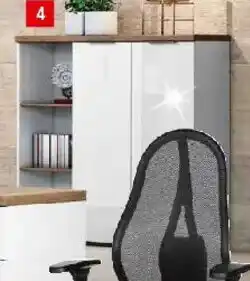 Zurbrüggen Xora XL-Aktenschrankschrank Angebot