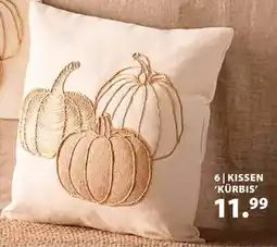 Dehner Kissen 'kürbis' Angebot
