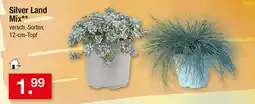 Zimmermann Silver Land Mix** Angebot