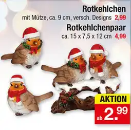 Zimmermann Rotkehlchen Angebot