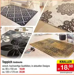 Zimmermann Teppich Ambiente Angebot