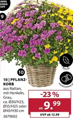 Dehner PFLANZKORB aus Rattan Angebot