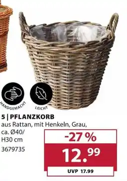 Dehner PFLANZKORB Angebot