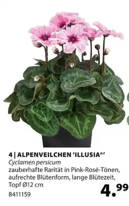 Dehner ALPENVEILCHEN 'ILLUSIA' Angebot