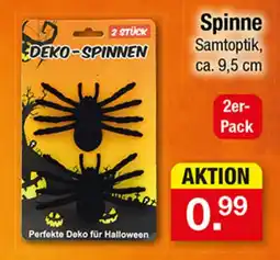 Zimmermann DEKO-SPINNEN Angebot