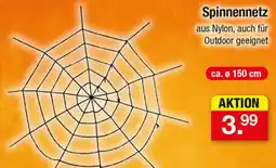 Zimmermann Spinnennetz Angebot