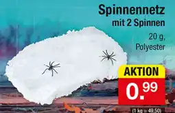 Zimmermann Spinnennetz mit 2 Spinnen Angebot