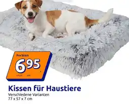 Action Kissen für Haustiere Angebot