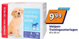 Action Welpen Trainingsunterlagen Angebot