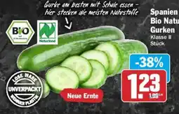 AEZ Spanien Bio Natur Gurken Angebot