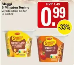 WEZ Maggi 5 Minuten Terrine Angebot