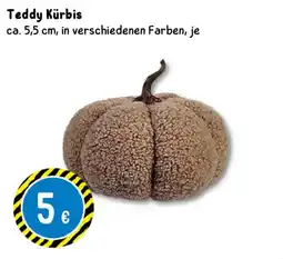 TEDi Teddy Kürbis Angebot