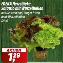 Simmel EDEKA Herzstücke Salatrio mit Wurzelballen Angebot