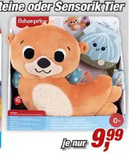 Posten Börse fisher-price Sensorik Tier Angebot