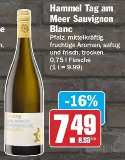 AEZ Hammel Tag am Meer Sauvignon Blanc Angebot
