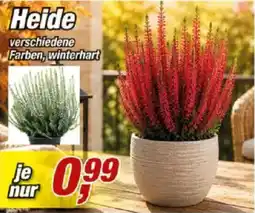 Posten Börse Heide Angebot