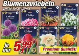 Posten Börse Blumenzwiebeln Angebot
