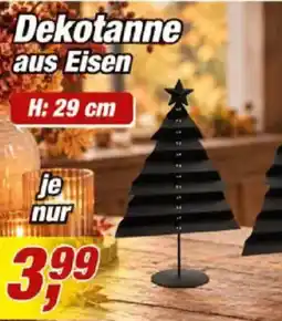 Posten Börse Dekotanne aus Eisen Angebot