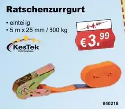 Stabilo Fachmarkt Ratschenzurrugurt KesTek PROFESSIONAL Angebot