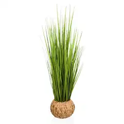 Netto Marken-Discount hjh OFFICE Kunstpflanze CORTADERIA Naturstroh Angebot