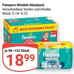 Globus Pampers Windeln Maxipack Angebot