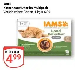 Globus Iams Katzen Nassfutter Angebot