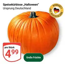 Globus Speisekürbisss „Halloween“ Angebot
