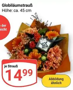 Globus Globiläumstrauß Angebot