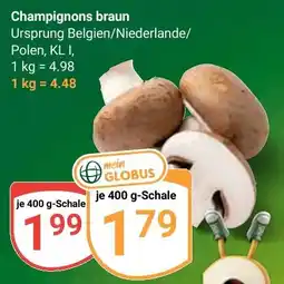 Globus Champignons braun Angebot