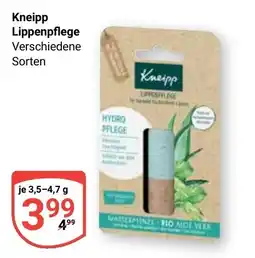 Globus Kneipp Lippenpflege Angebot