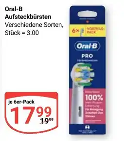 Globus Oral-B Aufsteckbürsten Angebot