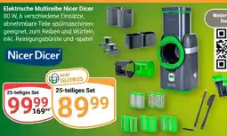 Globus Elektrische Multireibe Nicer Dicer Angebot