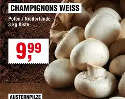 Handelshof CHAMPIGNONS WEISS Angebot